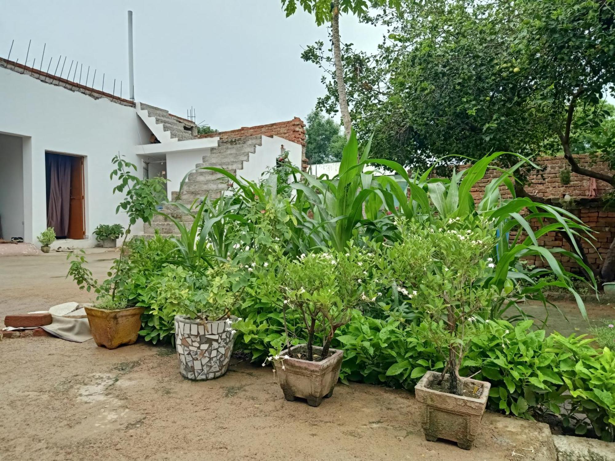 Ferienwohnung Khajuraho Rancho Exterior foto